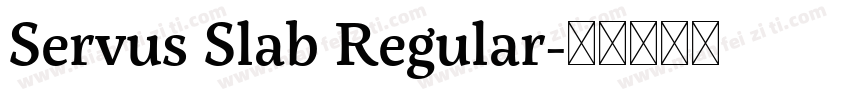 Servus Slab Regular字体转换
